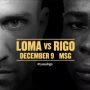 lomachenko vs rigondeaux boxing fight MSG